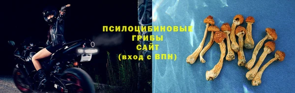 гашик Баксан