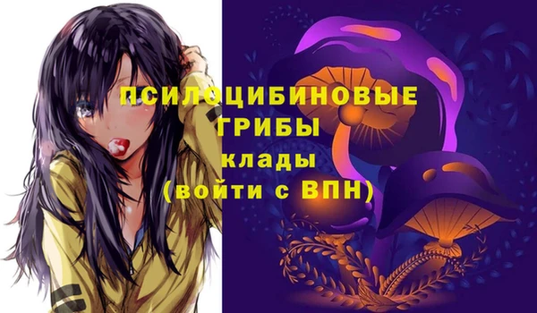 гашик Баксан