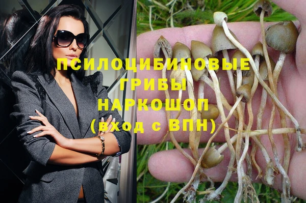 ешки Балахна
