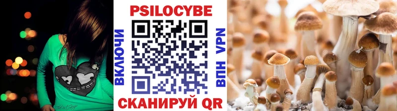 Псилоцибиновые грибы Cubensis купить наркотик Белый